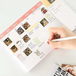 500Pcs Meimei Meme Cat Face Roll Stickers, Cute Realistic Kitten Expression Self-adhesive Labels for Journal Packaging DIY Decor