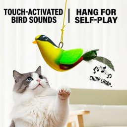 iLMH Indoor Interactive Birds Toy for Cat Chasing Teasing Toy Sounding Catnip Cat Teaser Toy Self-hilarity Wall Hanging Cat Toy