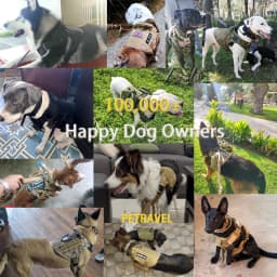 Tactical Dog Harness Collar Leash Molle Pouches For Medium Large Dogs Pet German Shepherd Training Walking Vest Dog Harnesses