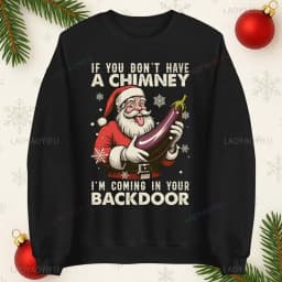 If You Dont Have A Chimney Im Coming in Your Backdoor Funny Santa Christmas Jumper Xmas Rude Adults Offensive Unisex Hoodie