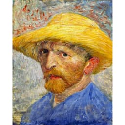 Famous Artist Van Gogh Starry Sky Iris Flower Sunrise Landscape DIY 11CT Cross Stitch Embroidery Kits Sale