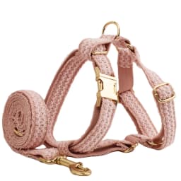 Pink Lace Dog Collar Personalizd Custom Engraved Nameplate Pet Wedding Collar Harness For Dogs Dog Accessories Luxury Lace03