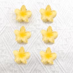 6Pcs Gradient Hair Clips New Flower Hair Claws Small Size Fashion Headwear Hairpin Crab Barrette Hair Accessories for Women