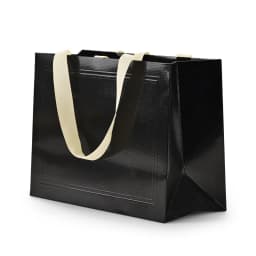 Oirlv 10Pcs Green Gift Bags Ribbon Handle Customizable Jewelry Shopping Bag Reusable Gift Packaging Bags Paper Gift Bags Packing