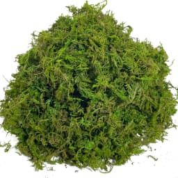 Artificial Fake Moss, Craft Moss for Potted Plant Centerpieces Decor