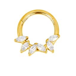 ASTM F136 Titanium EAR PIERC Nose Ring Teeth Tip CZ Ring Hoop Nose Rings Hinged Clicker Earring Ring factory Body Piercing