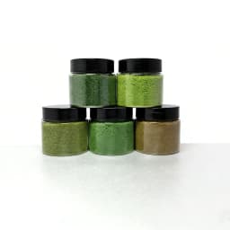 100ml Green Model Grass Powder Lawn Flock for Sand Table Landscape Architectural Model Making Supply