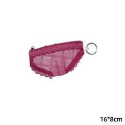 Portable Zippered Makeup Storage Bag Inspired by Lace Mesh Briefs for Easy Cosmetic Organization