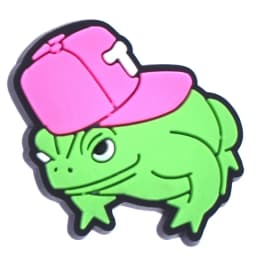 Funny Frog Shoe Charms for Crocs Accessories Men Clogs Pins Women Badge Boy Girl Jeans Kids Decorations Buckle Shoes Accessories