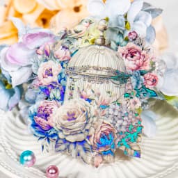 5 pcs Laser Bronzing birdcage PET Stickers aesthetic Decorative Scrapbooking Junk Journal Scrapbooking material