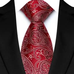 Luxury 8CM Mens Necktie Red Color Solid Stripes Paisley Ties For Man Groom Jacquard Woven Neck Tie For Business Wedding Party