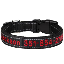 Custom Nylon Embroidered Dog Collar Personalized Pet ID Name Collars Refletive Necklace for Small Medium Large Dogs Accessories