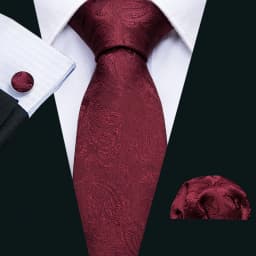 Fashion Red Plaid Men Tie Set 8.5cm Silk Jacquard Neckties Wedding Business Handkerchief Cufflink Tie Set Barry.Wang FA-6011
