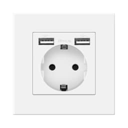 NYWP Wall USB Plug with EU Standard Double Plug 16A Wall Embedded AC 110V-250V New Style Panel Room Socket
