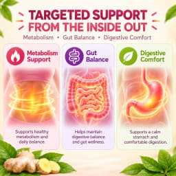Berberine HCl Drink Powder for Metabolism Support & Gut Balance with Yerba Mate Chromium Ginger Inulin Vitamin B6 B12 30 Sticks