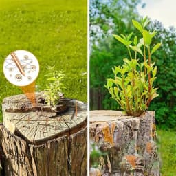 65/75mm Copper Nails For Killing Trees Stump Root Tree Stump Killer Removal Spikes Hardware Root Enduring