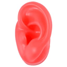 1PC Flexible Silicone Ear Model for Piercing Left and Right Human Ear Molds Jewelry With Exhibits Props