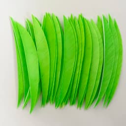 50 Pcs 5" IBOUNFOX Turkey Arrow Feather Shuttle Shape Archery Feather Fletching 5 Inch for Arrow Accessories -Right Wing