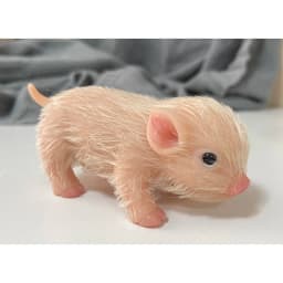 5inch Mini Reborn Doll Full Body Silicone Piglet Cute Lifelike Piglet Reborn Piggy Toys for Children Drop Shipping