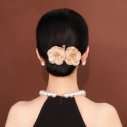 Elegant Peacock Shape Hair Bun Maker Twist Headwear Roll Hair Tool Hair Twister Easy Fast Snap Hairstyle Twist Women