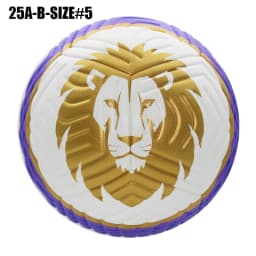 2026 Soccer Balls Professional Size 5 PU Material High Quality Seamless Ball Goal Team Match Training Football Outdoor futbol