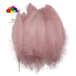 100PCS Soft Goose Feathers 5-7 Inch/13-18cm For Wedding Party Decoration Carnival Diy Facinator