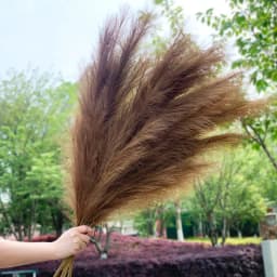 1Pcs 120cm Artificial Reed Flower Bouquet Plume Pampas Grass Dried Flowers For Home Room Decor Wedding Birthday Party Supplies