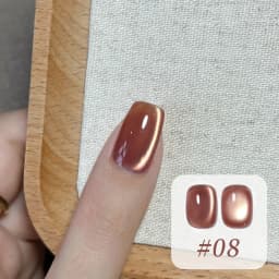 10ML 1-10PCS Winter New Style Hot Selling Black Nails Brown Nails Glass Bead Magnet Cat Eye Nail Polish Nail Set Nail Supplies