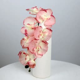 8 Heads Big Silk Artificial Flower Branch Orchid Phalaenopsis Black Burgundy Wedding Home Decor Flowers Potted Orchid Wholesale