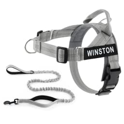 Custom Name No Pull Dog Harness Elastic Buffer Leash Set Adjustable Reflective Nylon Walking Lead for Small Medium Large Dogs