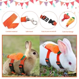 Adjustable Bunny Rabbit Harness and Leash Set Small Pet Cute Vest Harness Leash Ferret Harness Guinea Pig Harness Ferret
