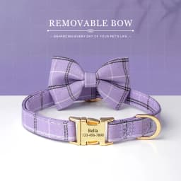 Personalized Dog ID Collar Cute Bowtie Pet Collars Necklace Free Engraving Puppy Cat Buckle Collar For Small Medium Dogs Cats