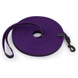 1.5M/5M/3M/2M Medium Small Long Dog Leash Latex Silk Easy and Convenient Training Big Dual Color WALK THE Dog Leash 10 Meters
