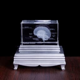 3D Human Anatomical Model Crystal Laser Brain Sculpture Cube Paperweight Figurines Thinking Medical Science Gift