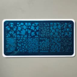 XMQ STAMPING NAIL PLATES FLOWER TEMPLATES
