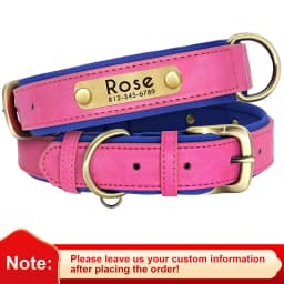 Personalized PU Leather Dog Collar Soft Padded Dog Collars Free Custom Pet ID Name Necklace for Small Medium Large Dogs Pitbull