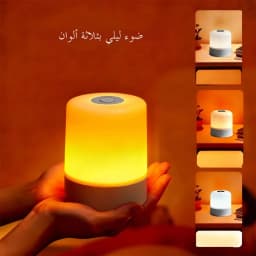 LED Night Light Dimmable Rechargeable/Plug-in Desktop Bedroom Bedside Lighting Decorative Touchscreen Reading RGB Desk Lamp