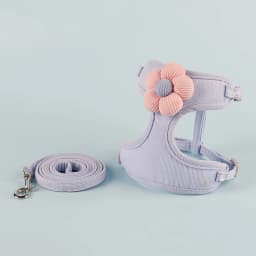 Cat Harness and Leash Sets Adjustable Dog Harness for Small Dog Leash Breashable Pet Harness Out Walking Dog Strap Cat Accessory