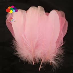 100PCS Soft Goose Feathers 5-7 Inch/13-18cm For Wedding Party Decoration Carnival Diy Facinator