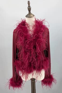 Women See-Through Top with Real Ostrich Feather Brown Black Cropped Jacket Top Bolero 240711