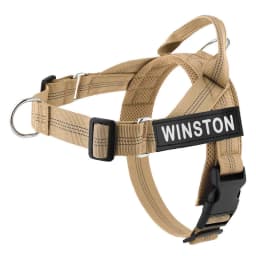 Personalized No Pull Dog Harness with Name Patch Escape-Proof Adjustable Reflective Soft Padded Dog Vest for Training Walking