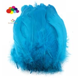 100PCS Soft Goose Feathers 5-7 Inch/13-18cm For Wedding Party Decoration Carnival Diy Facinator