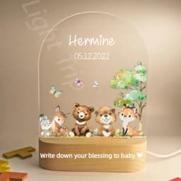 Customized Baby Birth Night Light Personalized Name Animal Bear Bunny Rabbit with USB Lamp for Bedroom Birthday Christmas Gift