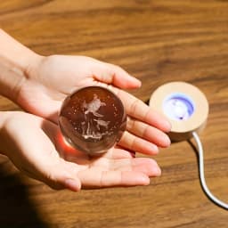 3D Sea Turtle Crystal Ball Night Light 6cm Crystal Glass Sphere with LED Wooden Base Home Decor Gift for Women Friends Girls