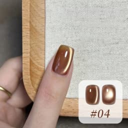10ML 1-10PCS Winter New Style Hot Selling Black Nails Brown Nails Glass Bead Magnet Cat Eye Nail Polish Nail Set Nail Supplies