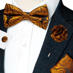Classic Mens Bow Tie Brown Jacquard Paisley Bowtie Hanky Cufflinks Brooch Set Wedding party Butterfly Knot Gift Man Accessories