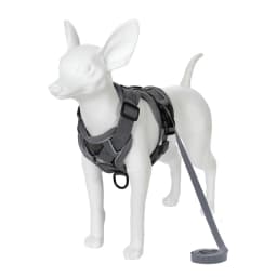 Adjustable Dog Harness Leash Set for Small Medium Dogs Cats Reflective Chest Strap Pets Harnesses Vest Outdoor Puppy Supplies