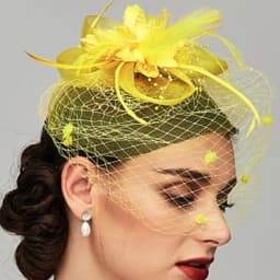 Birdcage Bride Veil Wedding Hair Accessories Flowers Feather Mesh Veil Face Cover Multi Colors Korea Japan Black White