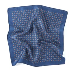 Tailor Smith Men's Classic Red Khaki Print Dot Handkerchiefs Paisley Floral Pockets Square Wedding Hankies Business Gift for Him