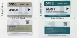 High Quantity Text Clear Letters Printed PVC SCP Hard Card Patches,top Hardboard,hardcard 8.5*5.5CM WF23461